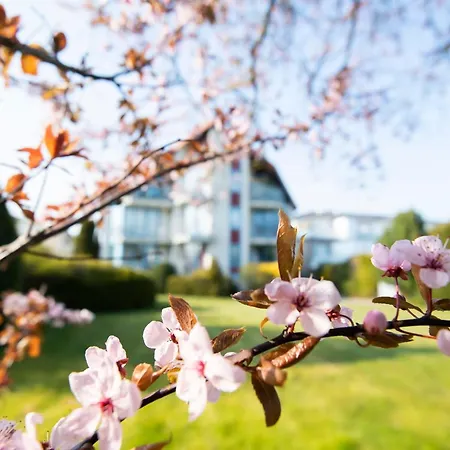 Strandhausvilla- Ostseerobbe דירה *